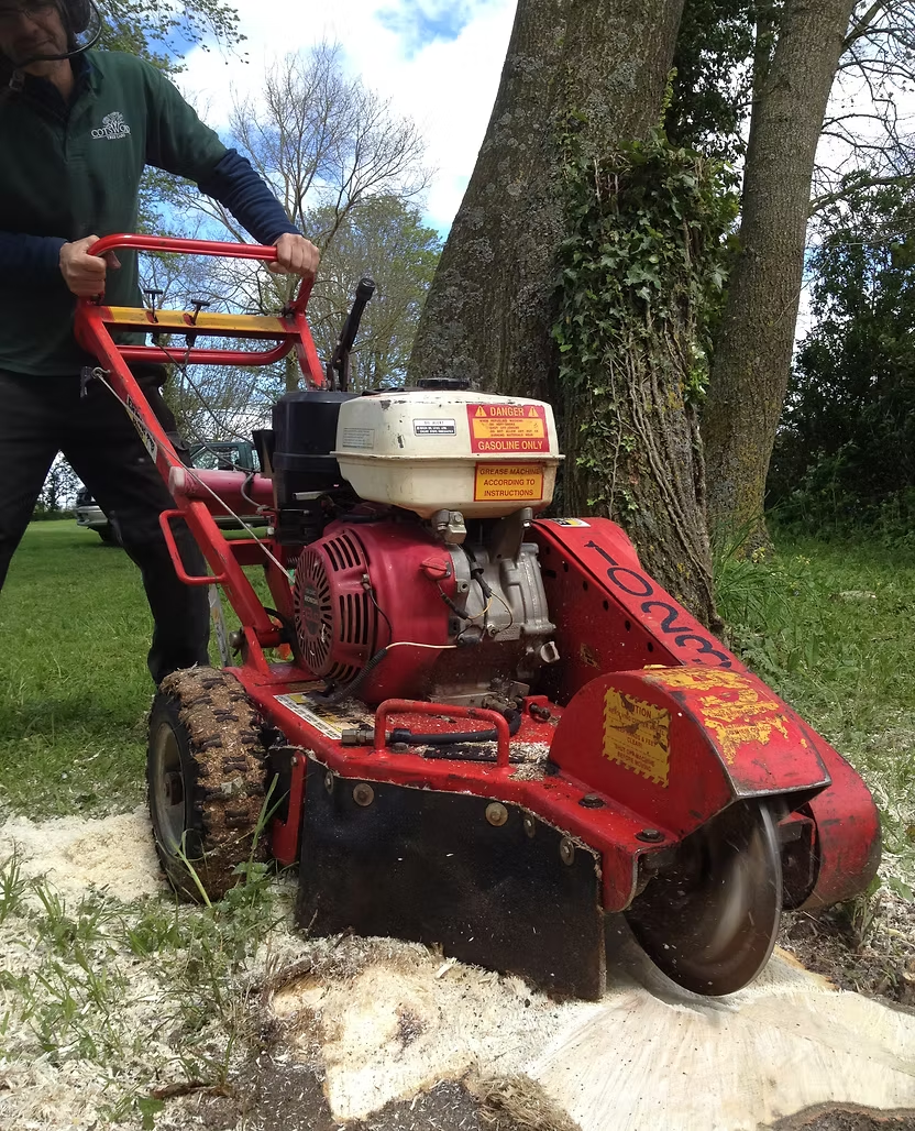 Stump Grinding