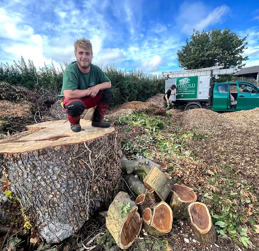 Chris Harris, Climber at Cotswold Tree Care