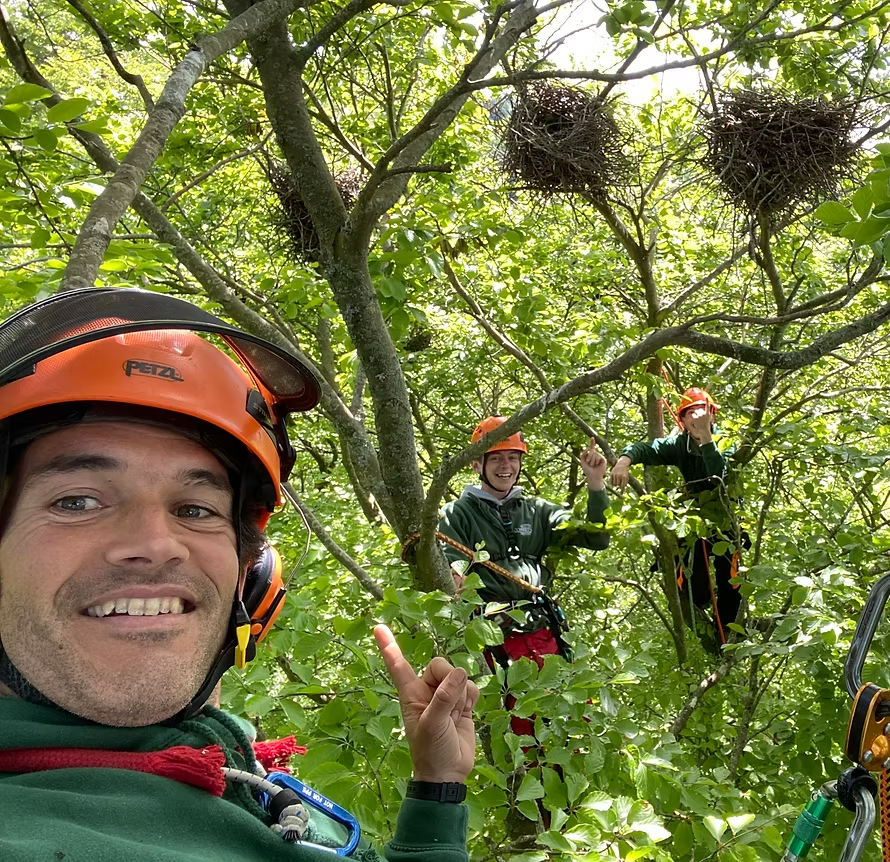 Pablo Sanchez, Founder & CEO at Cotswold Tree Care